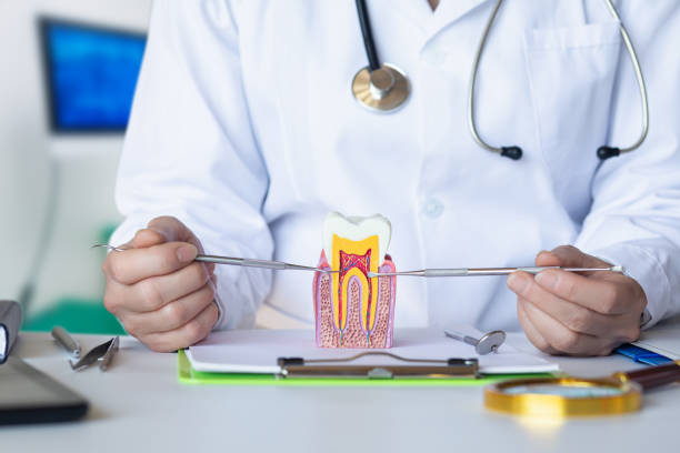 Best Root Canal Emergency Dentist  in Spanay, WA